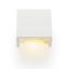 JACK LED fali lámpa  gipsz 230V LED 2x2W  3000K
